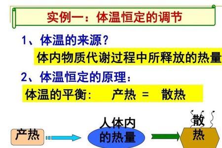 温度感受器位于哪三个位置