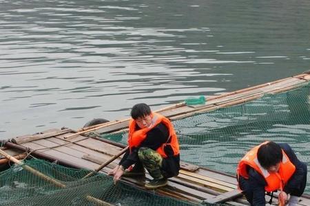 水库养鱼饲料配方