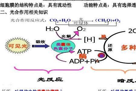 datp和atp区别