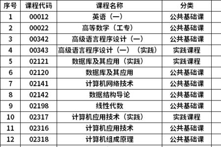 计算机应用技术大专出来干什么