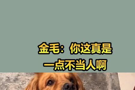 不把人命当回事的成语