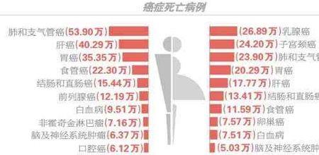 医学最发达的十个国家