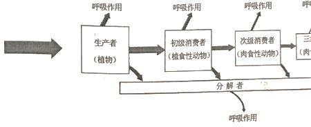 一个营养级有几个种群