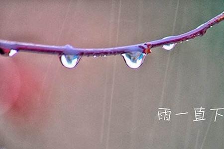 雨声滴答滴答意境