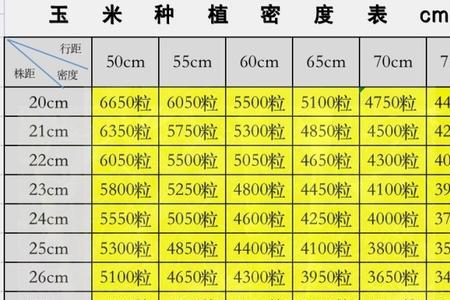 玉米行距和株距对照表