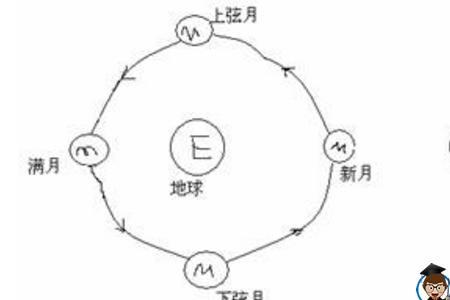 傍晚的月亮是上弦月还是下弦月