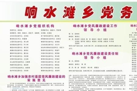 党务政务是什么意思