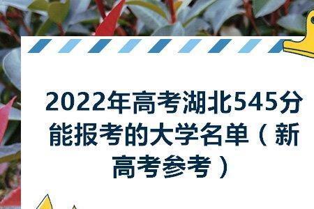 湖北省高考报名号怎么获取