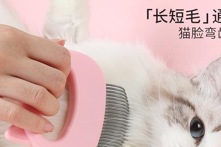 猫包怎么清洗