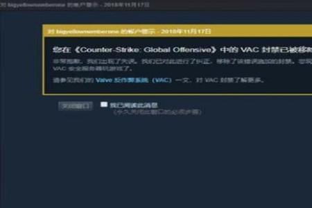 csgo被vac库存怎么才能交易