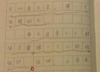 三棵银杏树感悟50字