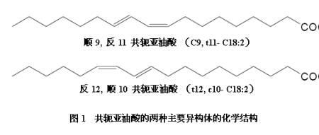 椰油油酸分子式