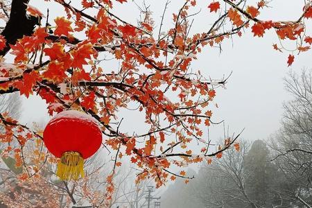 雪花在天空中飞舞扩句