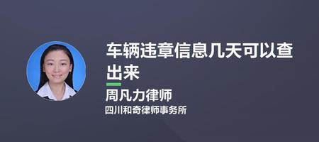 湖州违章一般几天查到