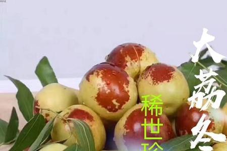 大荔冬枣什么时候上市