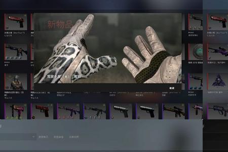 csgo选手饰品怎么看