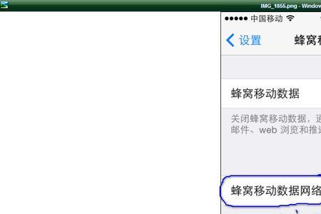 苹果x蜂窝数据选项是干什么的