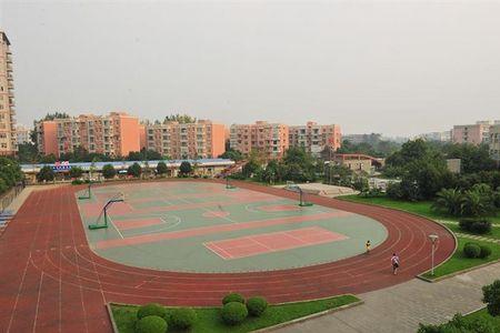 龙泉驿区洪安小学怎么样