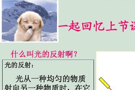 光的反射可以改变什么