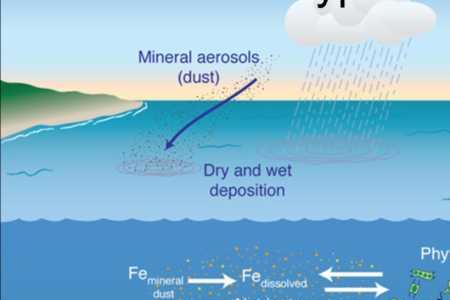 海水沉积与生物沉积的区别