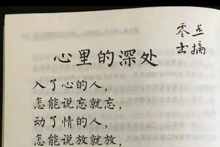 入了心的爱怎么能忘得掉