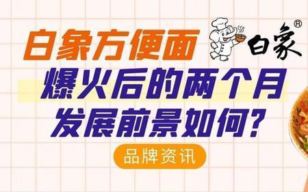 大象方便面厂的由来