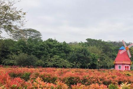 东莞植物园晚上能进入吗