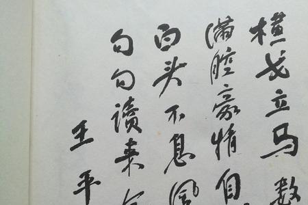 古代诗人描写将军的诗词