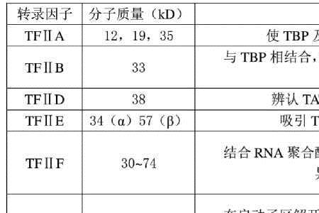 分子生物学tbp是什么