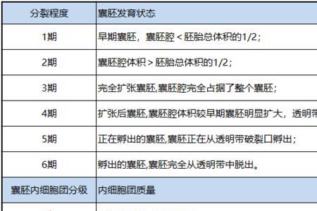 鲜胚8c3是什么意思