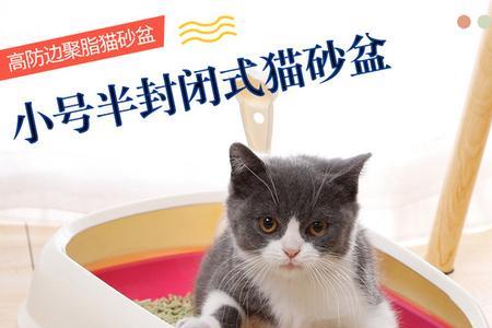 猫咪临产前为什么频繁去猫砂盆