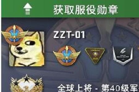 csgo徽章有几个等级