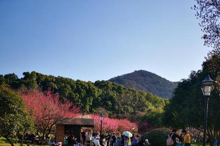 超山风景区7月份好玩吗