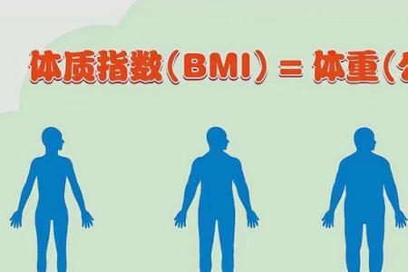 bmi指数为啥下不来