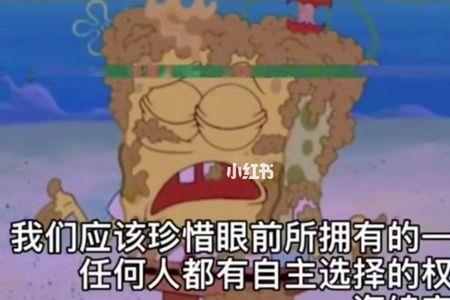 海绵宝宝经典语录十一月七号