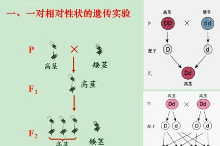 动物的先父遗传可信吗