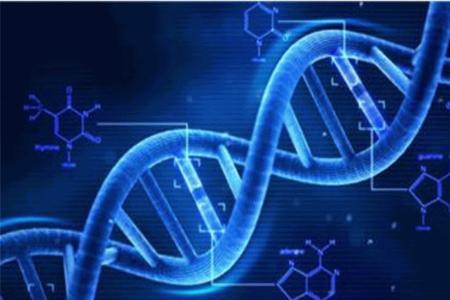 生物医学工程被院校取消了吗