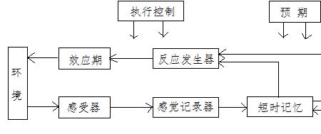 信息加工理论是谁提出的