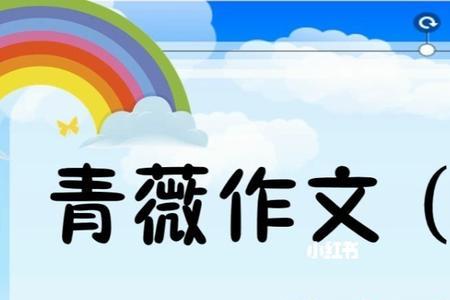 无文不成文章的上一句