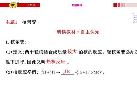 轻核聚变反应方程式