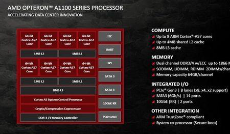 AMD芯片是x86还是arm