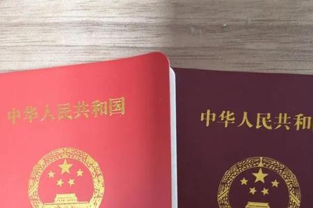 国家一级运动员怎么查询系统