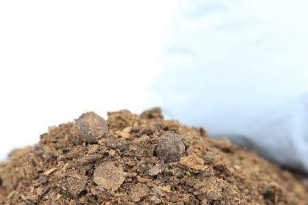 羊粪蛋种菜使用方法