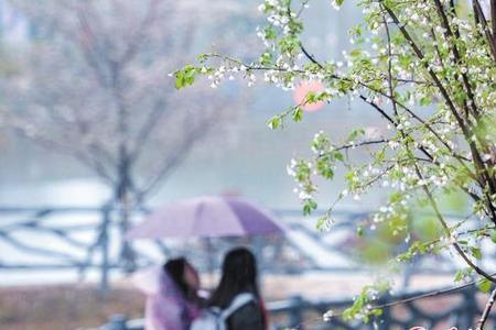 夜雨蒙蒙啥意思