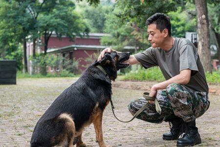 神犬奇兵谢连城肉搏阿峰