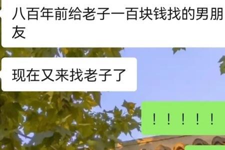 网络男友什么意思