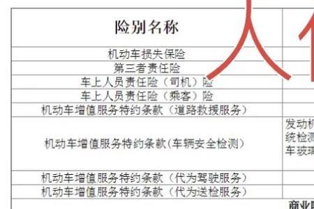 太平洋买车险有哪些权益