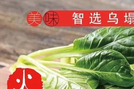 坐月子可以吃乌塌菜吗