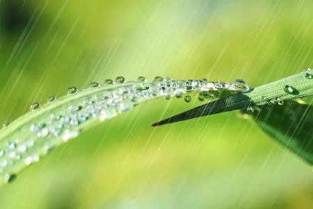 几场春雨读音是什么