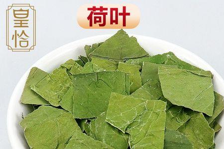 藕叶泡茶怎么泡